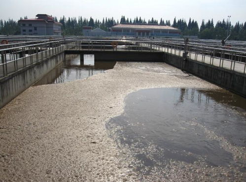 韶山养殖场污水处理工程方案